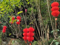 -三门江国家森林公园