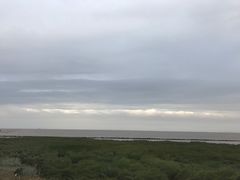 -南汇嘴观海公园