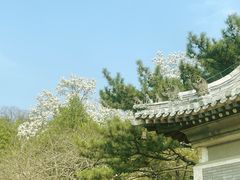 -潭柘寺景区