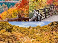 -少华山国家森林公园