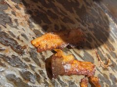 -姜胖胖无限自助烤肉(光明万达店)