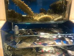 -荣祥海鲜·烟台菜(胜利路二部)