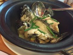 -ZF Seafood Restaurant 卓峰海鲜餐