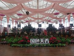 -盈香心动乐园