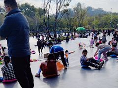 -王借岗森林公园