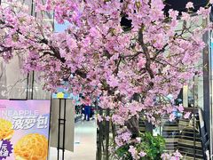 -宝月楼·台湾菜馆(天河城店)
