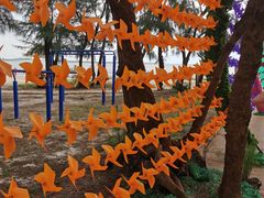 -北海金海湾红树林生态旅游区