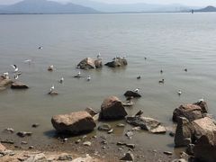 -深圳湾公园(南山区)