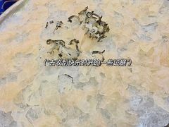 传统海鲩鱼生-祈胜邨•顺德鱼生•顺德菜(容桂店)