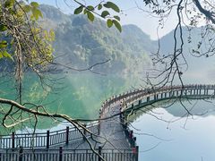 -江西阳明山国家森林公园