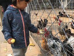 -长白岛森林公园