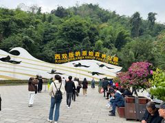 -西双版纳原始森林公园