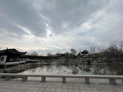 -上海滨江森林公园