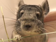 -龙猫仔乐园(惠福东路店)