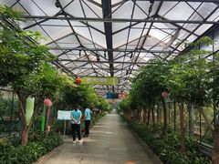 -南宫五洲植物乐园