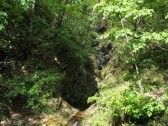 -牛背梁国家森林公园