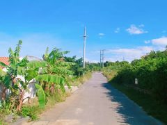 -琴园酒家(金三角大厦店)