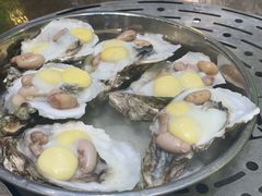 -飞尝蚝·顺德菜·鱼生(顺德总店)