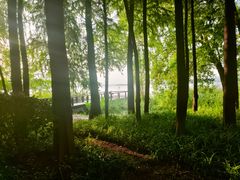 -长广溪湿地公园