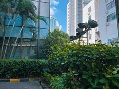 -深圳市人民医院(留医部)