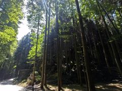 -山王坪喀斯特国家生态公园