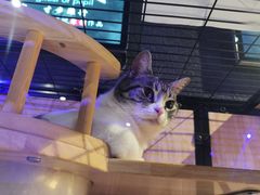 -瞳·实景密室逃脱(护国店)