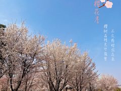 -径山花海