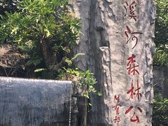 -广州市流溪河国家森林公园