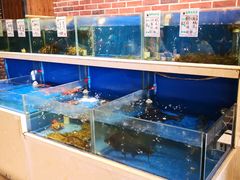 水产区-姜君·千岛湖鱼头馆(浦东大道店)