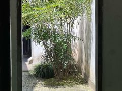 -常熟方塔园