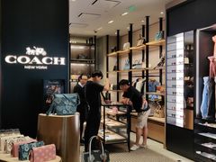 -COACH蔻驰(双安商场店)