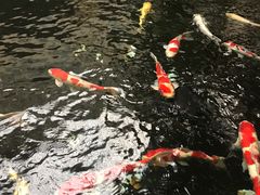 -顺景温泉