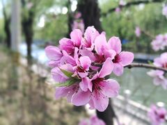 -南长河公园