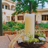仲夏龙蒿🌿，种下美食与爱的希望🌻‖美食攻略