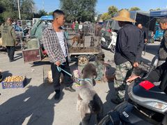 -牛庄高晓山风味馅饼城(海城店)