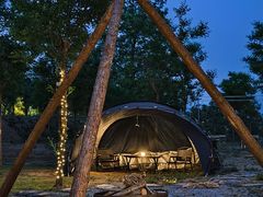 -Walker萌宠露营(大明骑士驿站店)