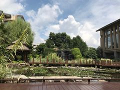 -昆明洲际酒店
