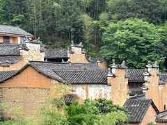 -杨家堂村