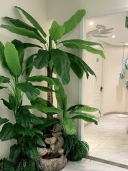 -健身堂科技美肌SPA