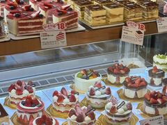 -多乐之日(五道口店)