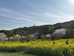 -苏州上方山国家森林公园