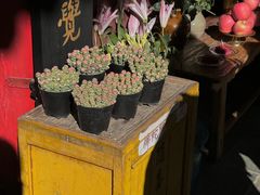 -寂照庵