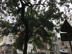 -清平路水族市场