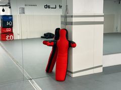-EFL巴西柔术·综合格斗·泰拳·少儿体能训练(虹桥德必馆)