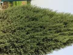 -兴芮温泉度假区