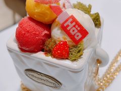 香榭假日-哈根达斯(深圳海岸城店)