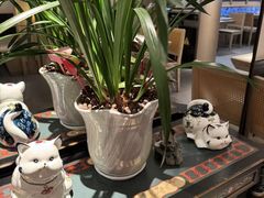 -鑫花溪牛肉米粉(凤凰街创始总店)