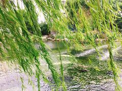 -苏州河梦清园环保主题公园