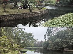 -荔枝公园(福田区)