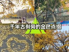 -佛荫寺